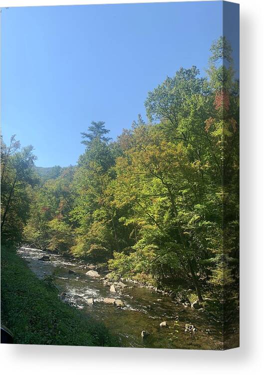 Photography Canvas Print featuring the photograph Smokey Mountain Nature by Lisa White