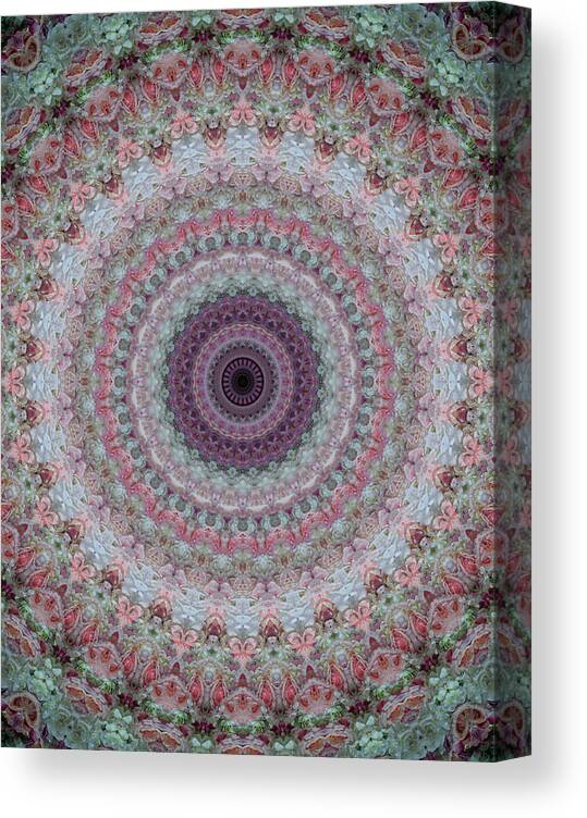 Mandala Canvas Print featuring the photograph Soft pink and gray mandala by Jaroslaw Blaminsky