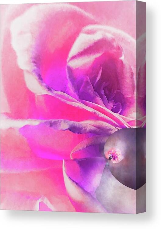 Rose Canvas Print featuring the photograph Softly Goes the Rose Spiral 9 by Eileen Backman