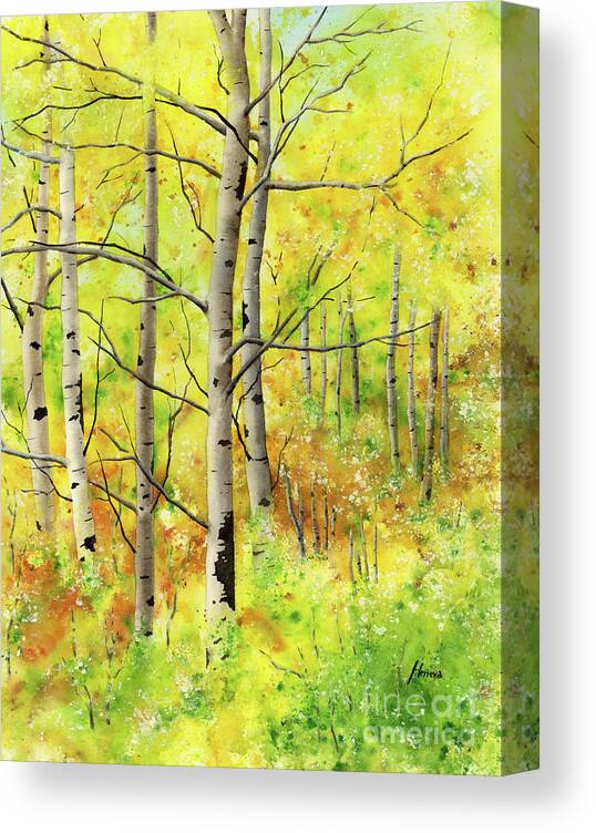 Trees Canvas Print featuring the painting Spring Aspens by Hailey E Herrera