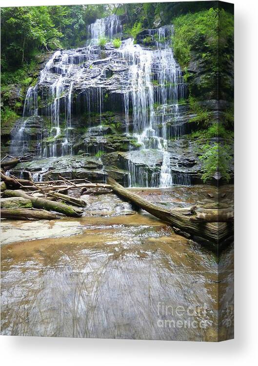 Station Canvas Print featuring the photograph Station Cove Falls by Rodger Painter