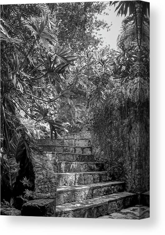 Chichen Itza Canvas Print featuring the photograph Steps Near Cenote Chichen Itza by Frank Mari
