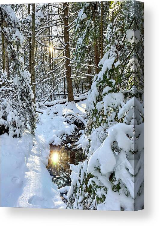 Sunburst Canvas Print featuring the photograph Sun pecking through the trees by Dan Friend