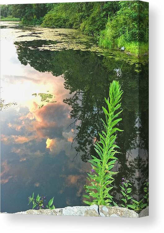Sunset Canvas Print featuring the photograph Sunset on the Green by Lisa Pearlman