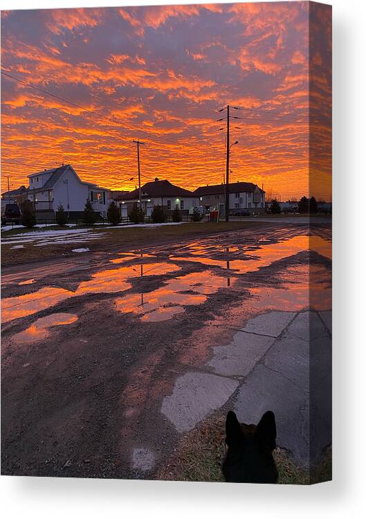 Sunset Canvas Print featuring the photograph Sunset reflects by Judy Dimentberg