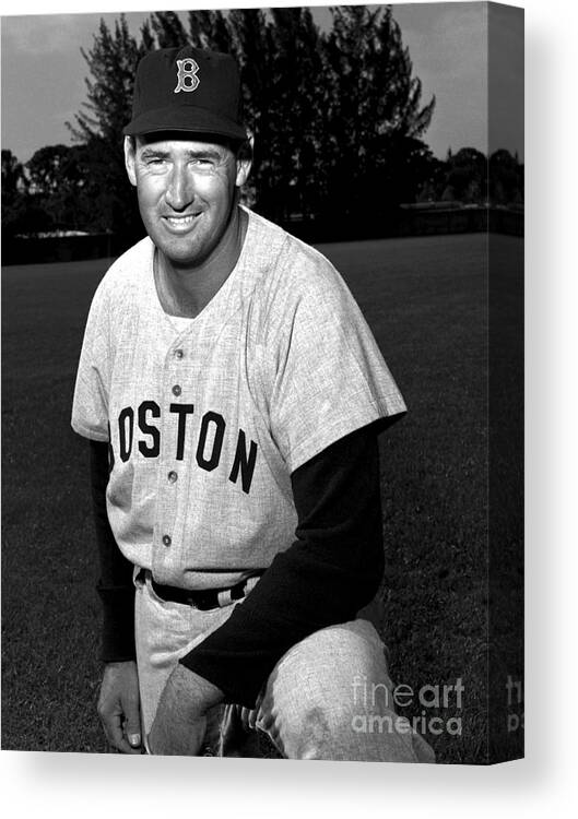 People Canvas Print featuring the photograph Ted Williams by Olen Collection
