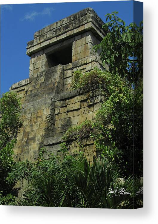 Temple Canvas Print featuring the photograph The Temple by David McKinney