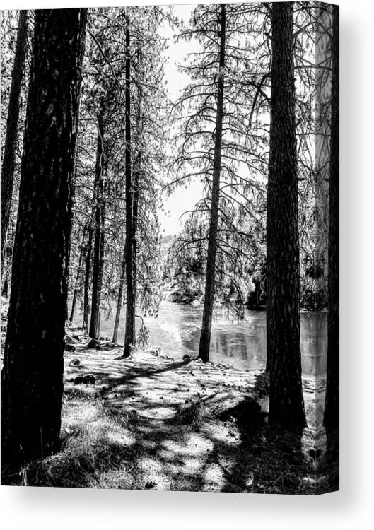 Trees Canvas Print featuring the photograph Through the Trees to the River by Amanda R Wright