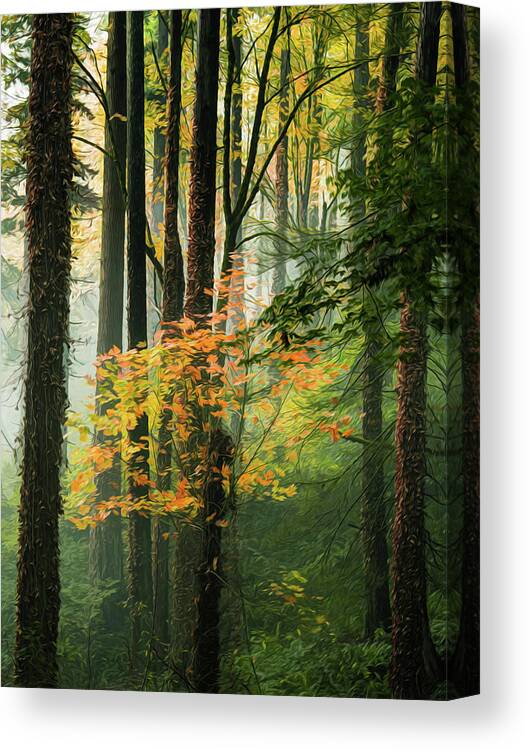 Portland Oregon Canvas Print featuring the photograph Tinged with the Colors of Autumn by Don Schwartz