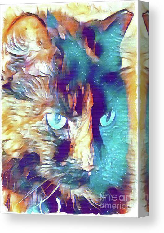 Cat; Kitten; Torti; Torti Cat; Tortoiseshell; Gold; Brown; Black; Teal; Cat Eyes; Kitten Eyes; Close-up; Photography; Painting; Profile; Canvas Print featuring the photograph Torti in Teal by Tina Uihlein