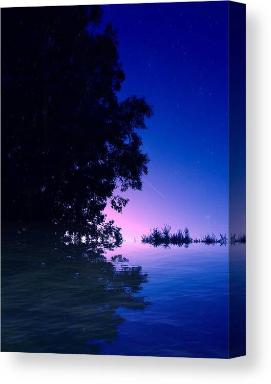 Trees Canvas Print featuring the photograph Trees in Water by David Zumsteg