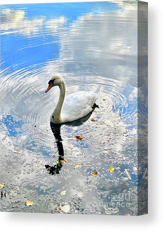 Swan Canvas Print featuring the photograph Twin Lakes Swan 3 by CAC Graphics