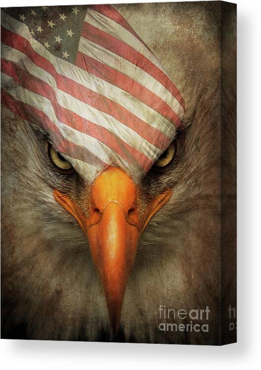 Eagle Mask Canvas Print featuring the digital art Eagle Mask by Shanina Conway