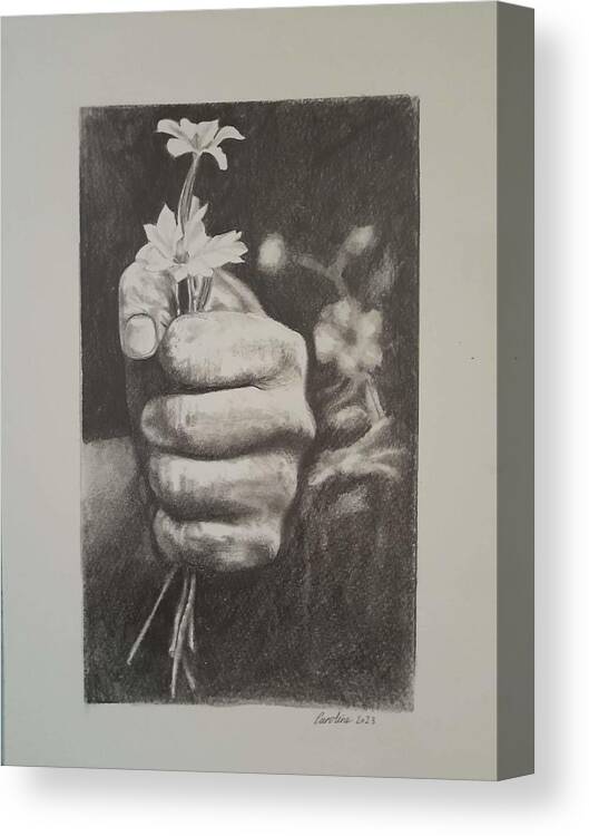 Hands Canvas Print featuring the drawing Untitled by Caroline Philp