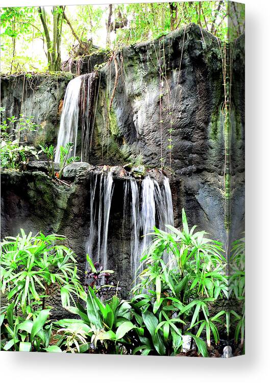 Waterfall Canvas Print featuring the photograph Unusual Waterfall by Rosalie Scanlon