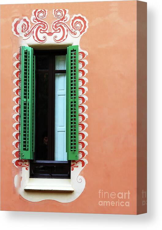 Window Canvas Print featuring the photograph Ventana Elegante by Rick Locke - Out of the Corner of My Eye