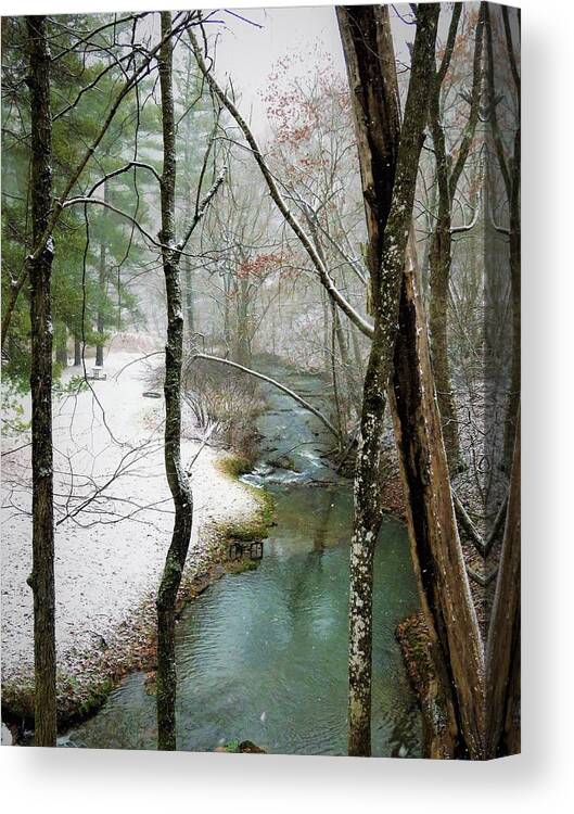 Trees Canvas Print featuring the photograph View Through the Trees by Lori Frisch