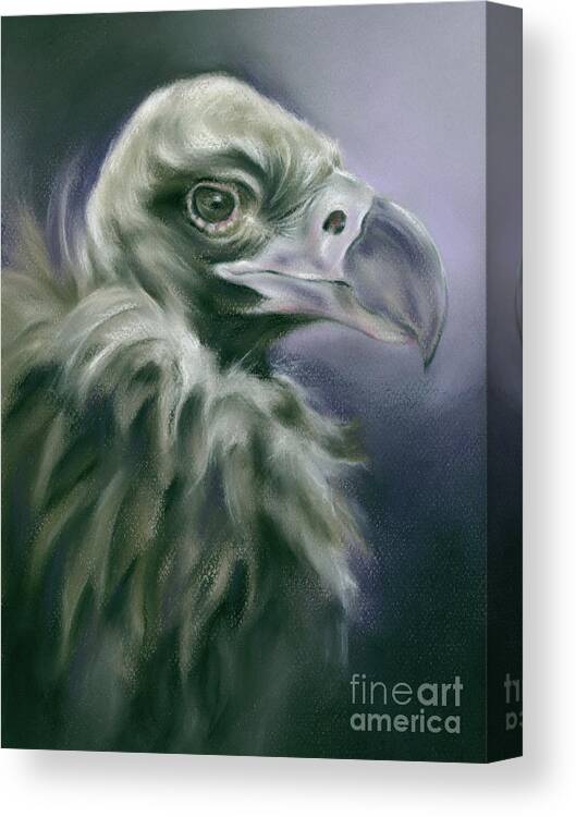 Bird Canvas Print featuring the painting Vulture Portrait with Purple by MM Anderson