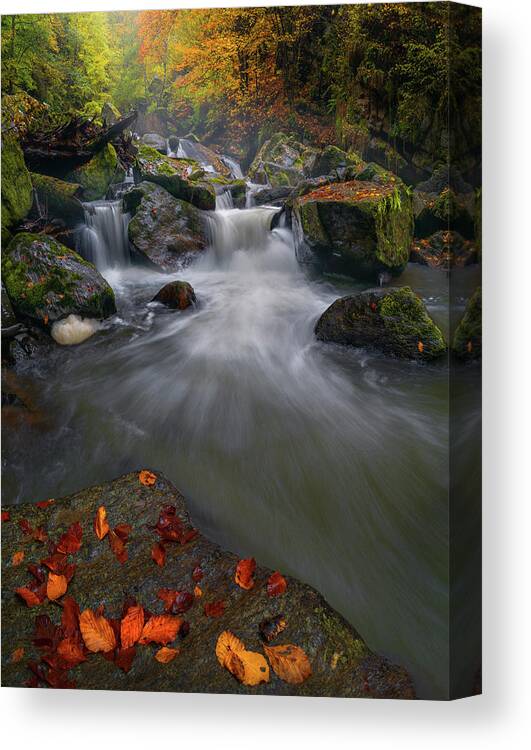 Landscape Canvas Print featuring the photograph Water symphony by Cosmin Stan