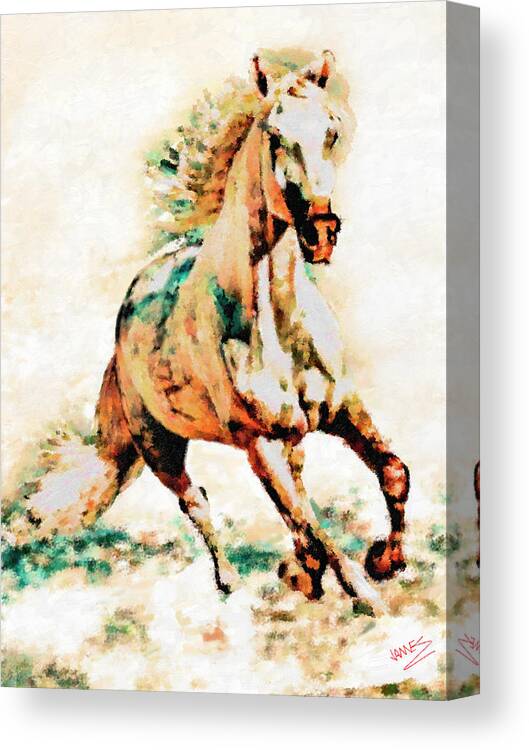 Animal Canvas Print featuring the painting Wild Free Horse by James Shepherd