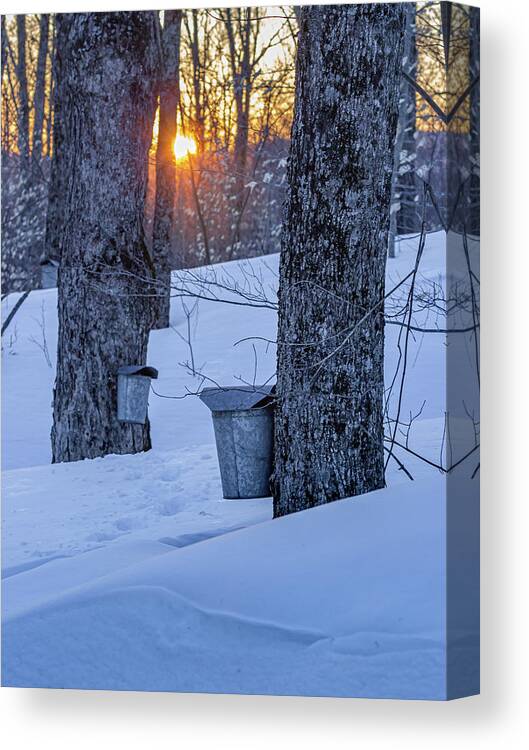 Winter Canvas Print featuring the photograph Winter Buckets by Tim Kirchoff