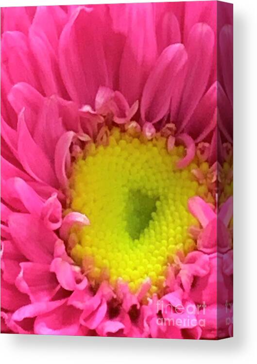 Love Canvas Print featuring the photograph With Love....from Jesus by Tiesa Wesen