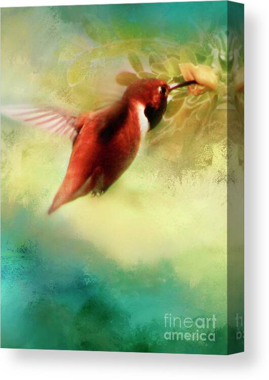 Hummingbird Canvas Print featuring the photograph Within An Instant by Janie Johnson