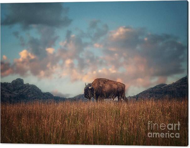 tamyra Ayles Canvas Print featuring the photograph Alone by Tamyra Ayles
