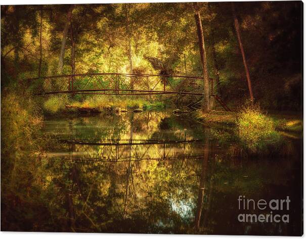 Tree Canvas Print featuring the photograph Natural Falls Bridge by Tamyra Ayles