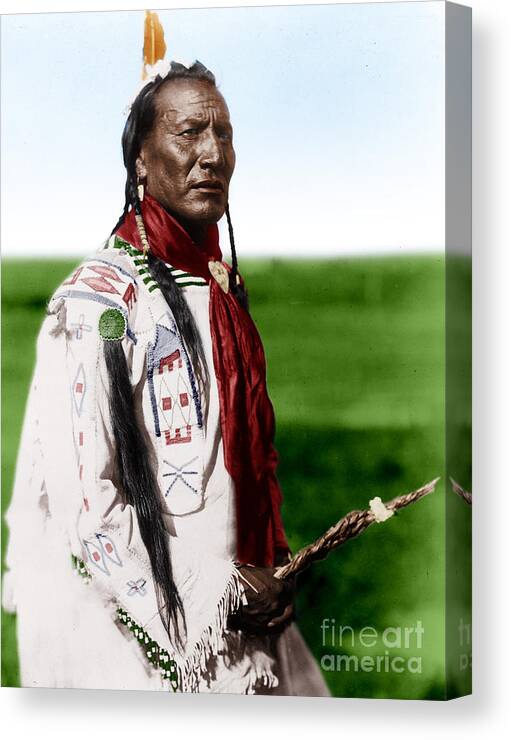 Blackfoot Man With Braided Sweet Grass Ropes Canvas Print featuring the photograph Blackfoot man with braided sweet grass ropes #1 by Celestial Images