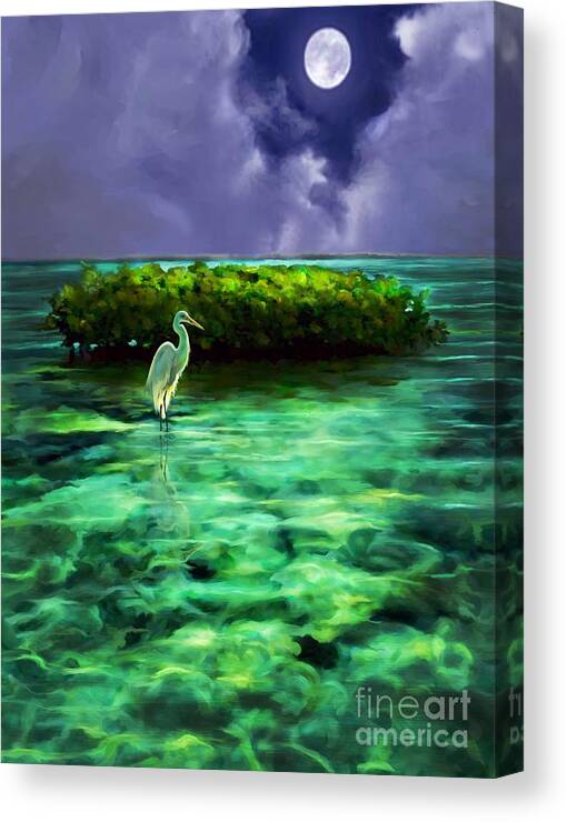 Moon Light Scene Canvas Print featuring the painting Full Moon Fishing #1 by David Van Hulst