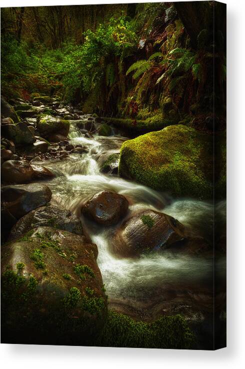 Water Canvas Print featuring the photograph Hoh Stream #1 by Stuart Deacon