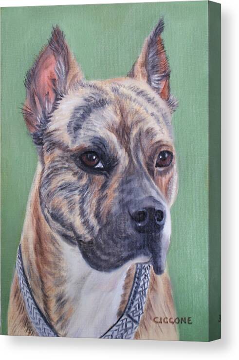 Canine Canvas Print featuring the painting Jade by Jill Ciccone Pike