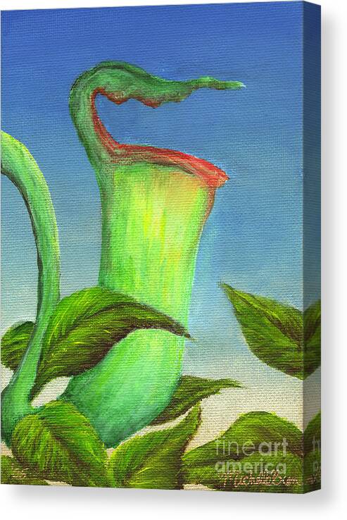 Plant Canvas Print featuring the painting Pitcher Plant by Michelle Bien