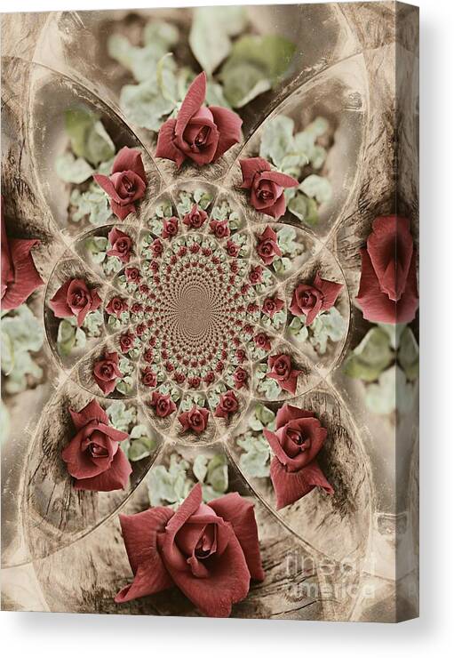 Roses Canvas Print featuring the photograph Soft Beauty #2 by Clare Bevan