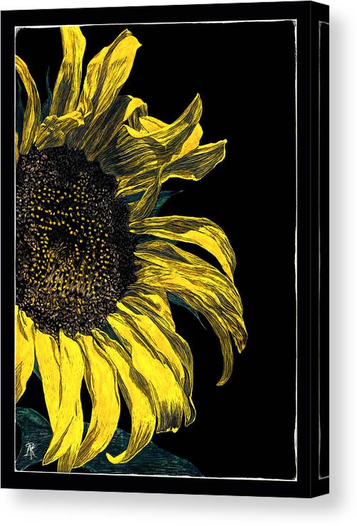 Sunflower Canvas Print featuring the drawing Sunflower #1 by Ann Ranlett