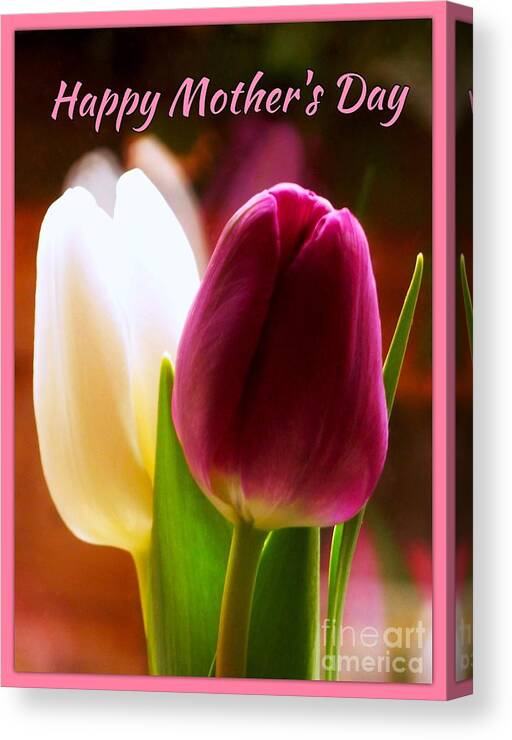Red Tulip Canvas Print featuring the photograph 2 Tulips for Mother's Day by Joan-Violet Stretch