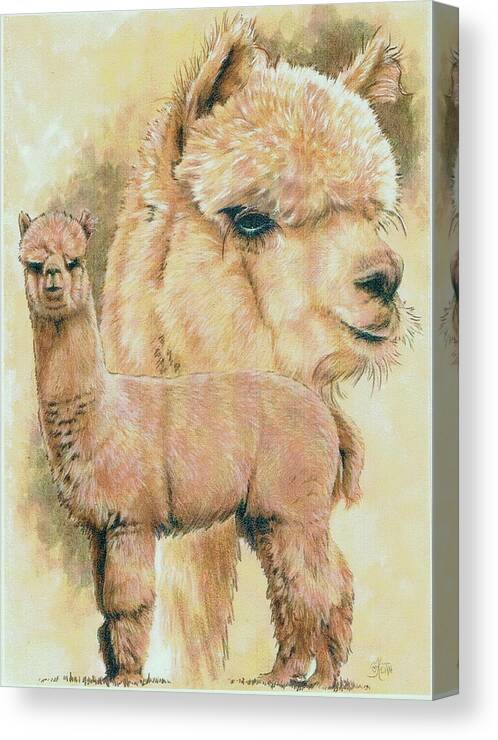 Alpaca Canvas Print featuring the mixed media Alpaca by Barbara Keith