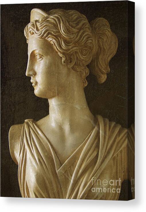 Artemis Canvas Print featuring the photograph Artemis by Diane Diederich