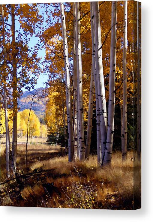 Trees Canvas Print featuring the photograph Autumn Paint Chama New Mexico by Kurt Van Wagner
