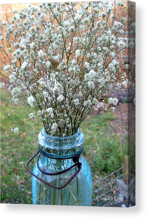 Baby's Breath Canvas Print featuring the photograph Baby's Breath Bouquet by Sandra Estes