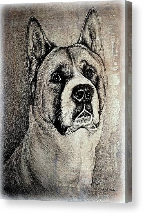 Dog Canvas Print featuring the drawing Barney the dog by Andrew Read