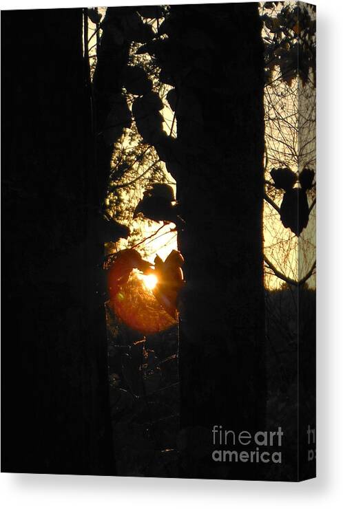 Sun Canvas Print featuring the photograph Behind the Trees by Britta Havens