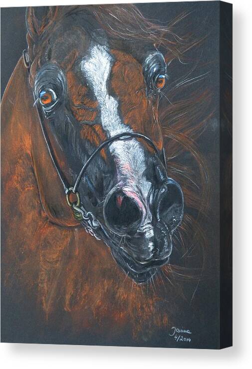 Horses Canvas Print featuring the pastel Ben Shai by Janina Suuronen