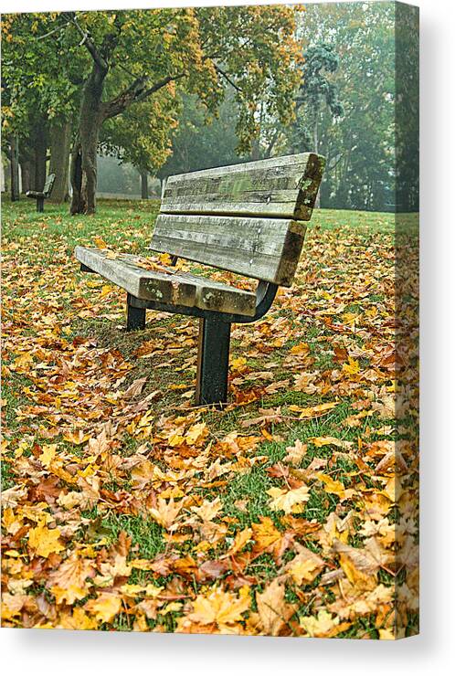 Foliage Canvas Print featuring the photograph Bench and Foliage by Cathy Kovarik