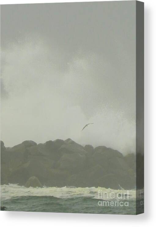 Seagull Canvas Print featuring the photograph Bird Splash by Gallery Of Hope 