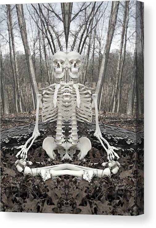 Skeleton Canvas Print featuring the photograph Budding Buddies II by Betsy Knapp