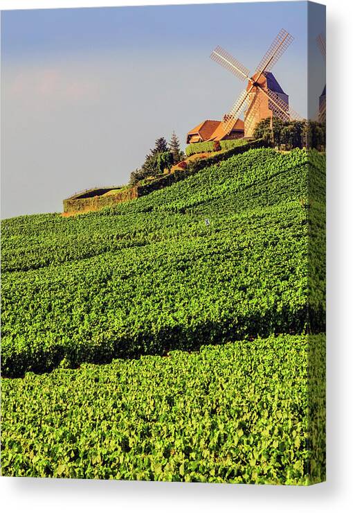 Viewpoint Canvas Print featuring the photograph Champagne by Kodachrome25
