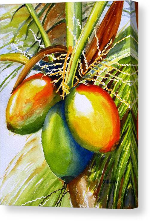 Tree Canvas Print featuring the painting Coconuts by Carlin Blahnik CarlinArtWatercolor
