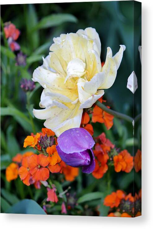 Flower Canvas Print featuring the photograph Colorful Flowers by Cynthia Guinn
